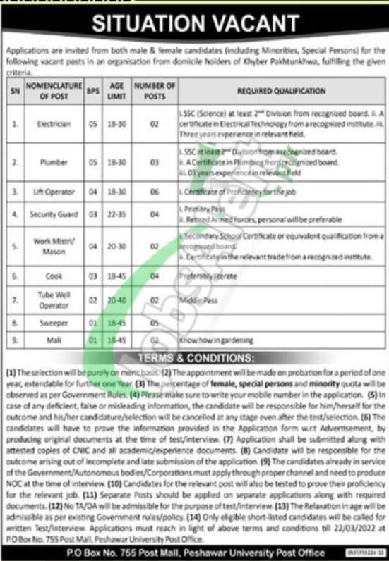 public sector organization jobs advertisement 2022