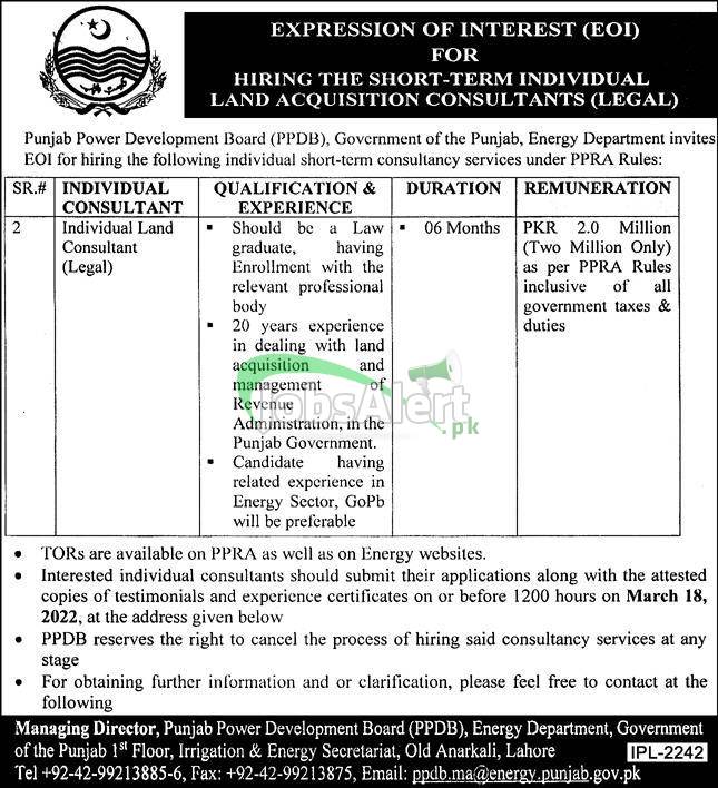 Energy Department Punjab Jobs Advertisement 2022
